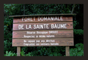 Forest Sign of the Sainte-Baume Forest